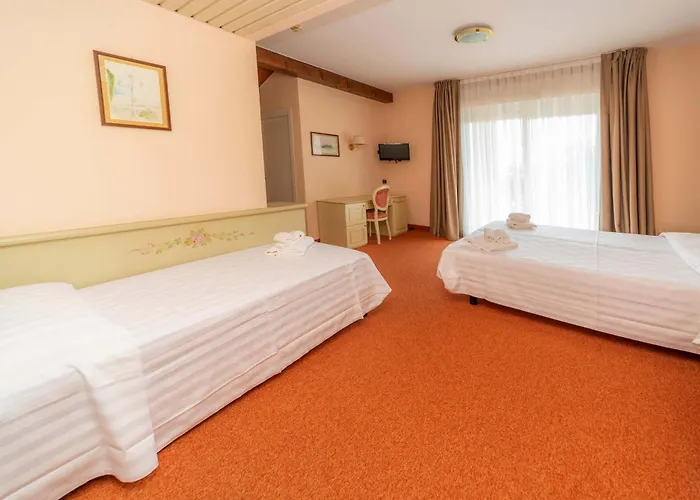 Hotiday Collection - Hotell